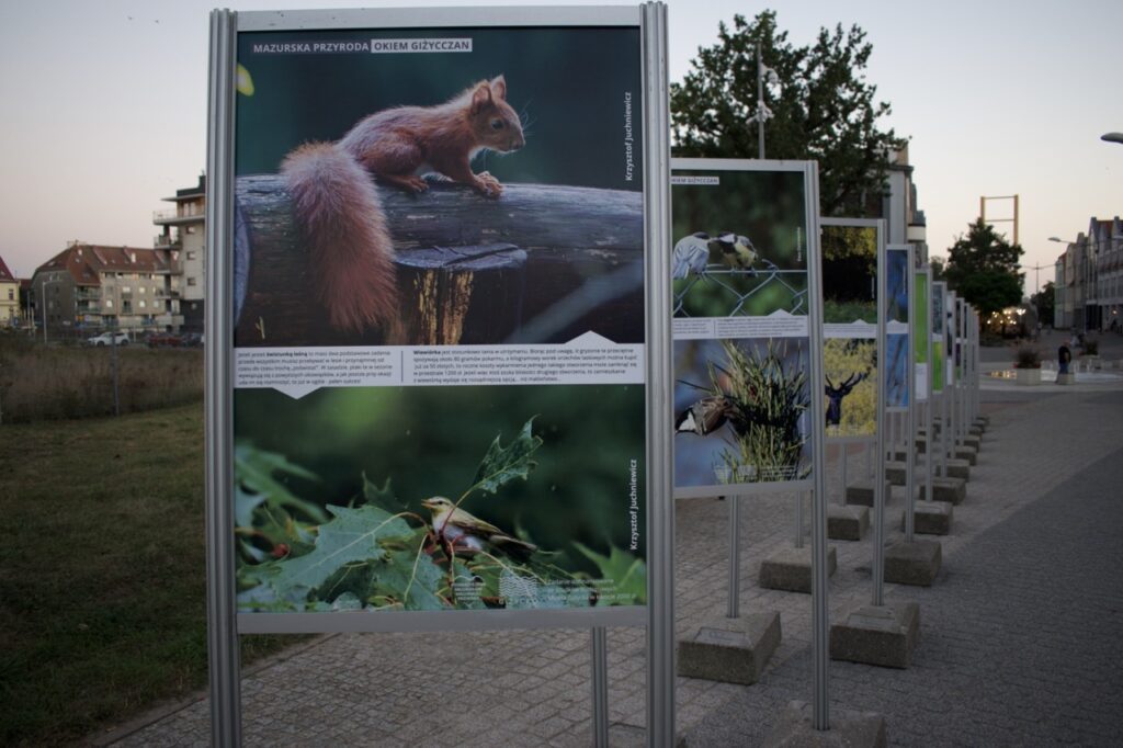 Wystawa fotograficzna „Mazurska przyroda okiem giżycczan”
