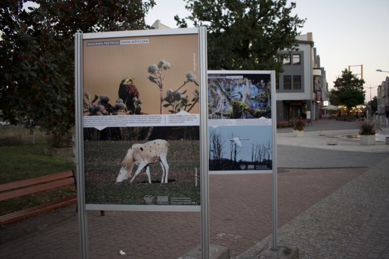 Wystawa fotograficzna „Mazurska przyroda okiem giżycczan”