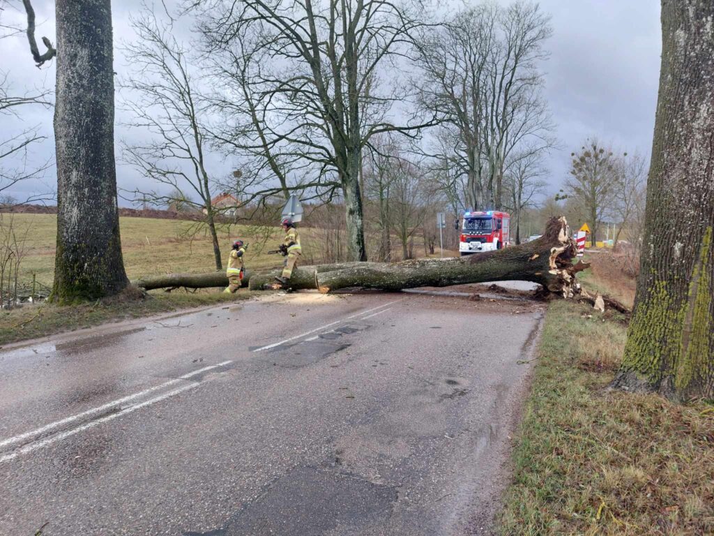 Silny wiatr w powiecie giżyckim – strażacy interweniowali 36 razy