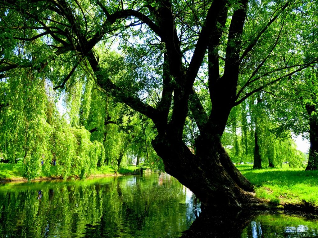 Mazurskie klimaty dla dwojga – niezapomniane chwile w Giżycku