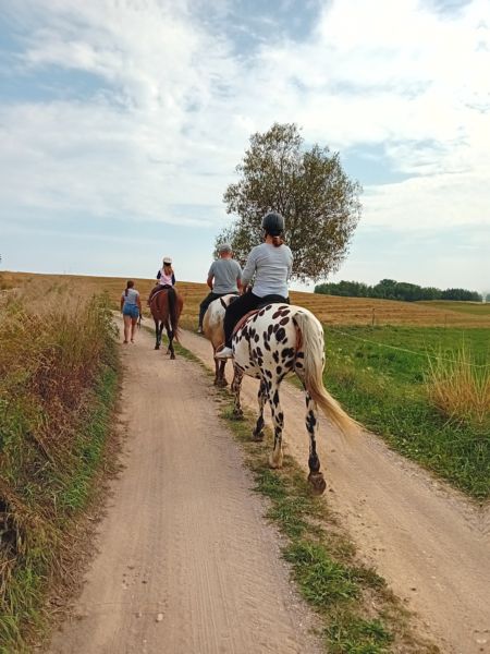 Mazurskie Mini Zoo Kąp Giżycko