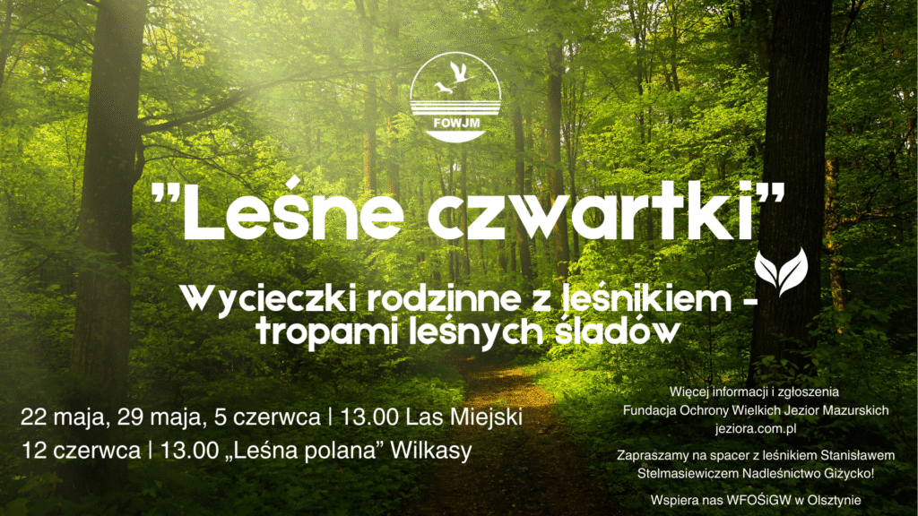 Wycieczki rodzinne z leśnikiem – tropami leśnych śladów „Leśne czwartki”