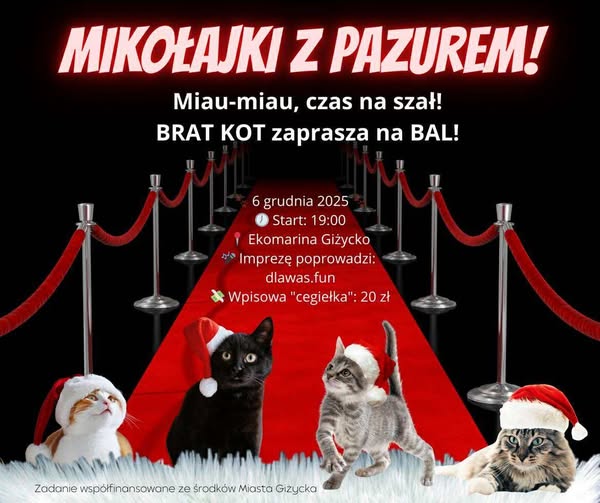 Mikołajki z Pazurem! – Bal z Bratem Kotem