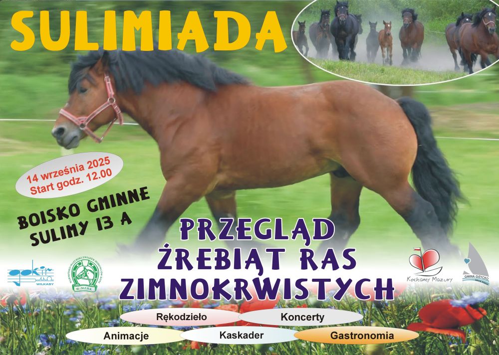 Sulimiada 2025 – Przegląd Źrebiąt Ras Zimnokrwistych