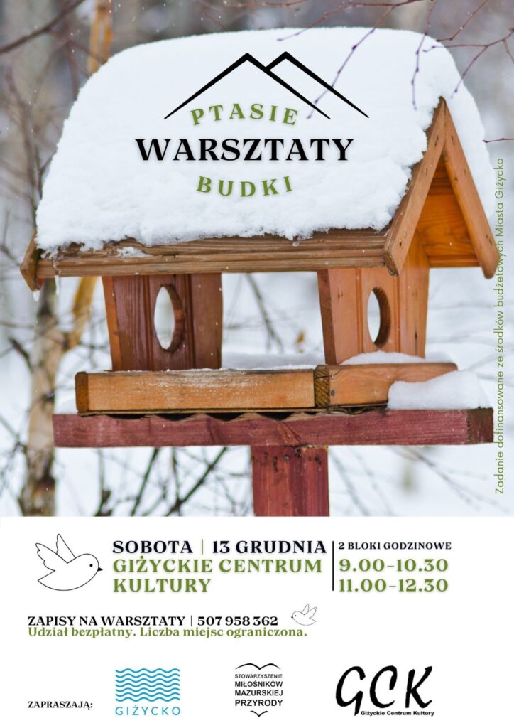 Warsztaty budowania karmników i budek lęgowych – zostań ptasim deweloperem!