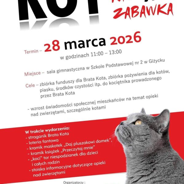 Kot to nie zabawka