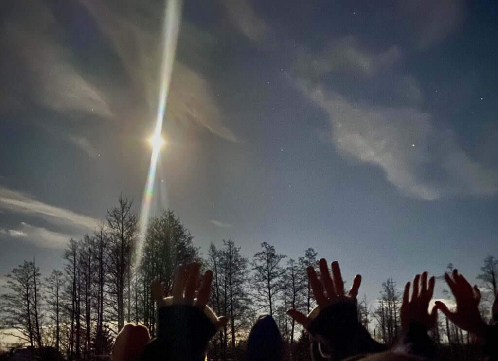 Spacer księżycowy dla kobiet w Puszczy Boreckiej. Wieczorna włóczęga 4 marca