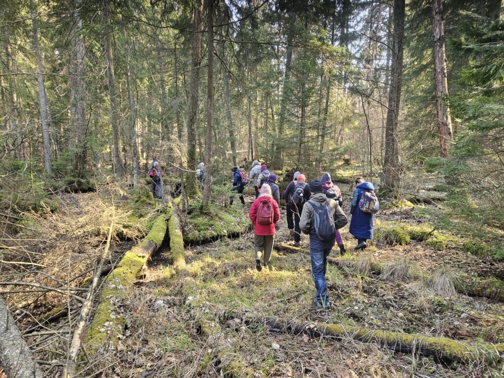 Spacer „Od świtu do zmierzchu w Puszczy Boreckiej”