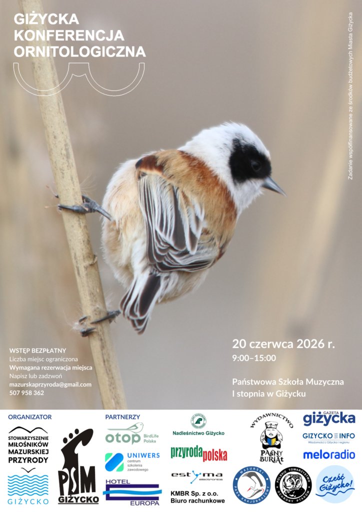 10. Giżycka Konferencja Ornitologiczna. Jubileuszowe spotkanie miłośników ptaków już 20 czerwca