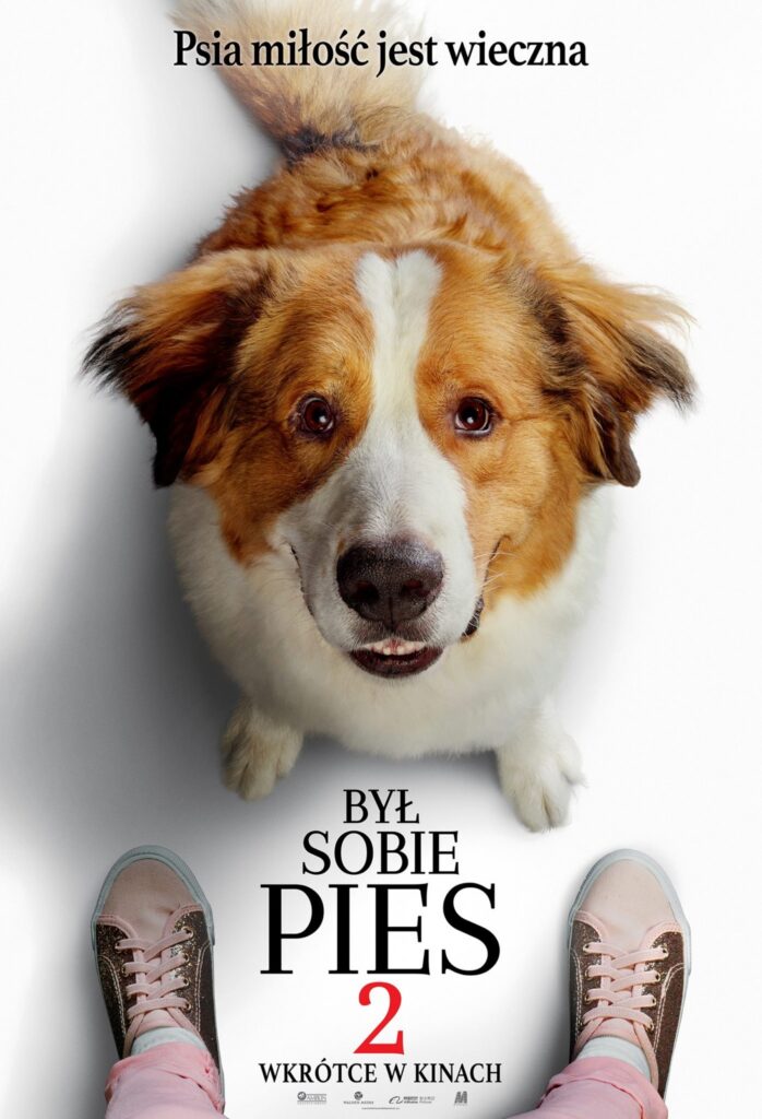 Kino letnie w Giżycku Był sobie pies 2